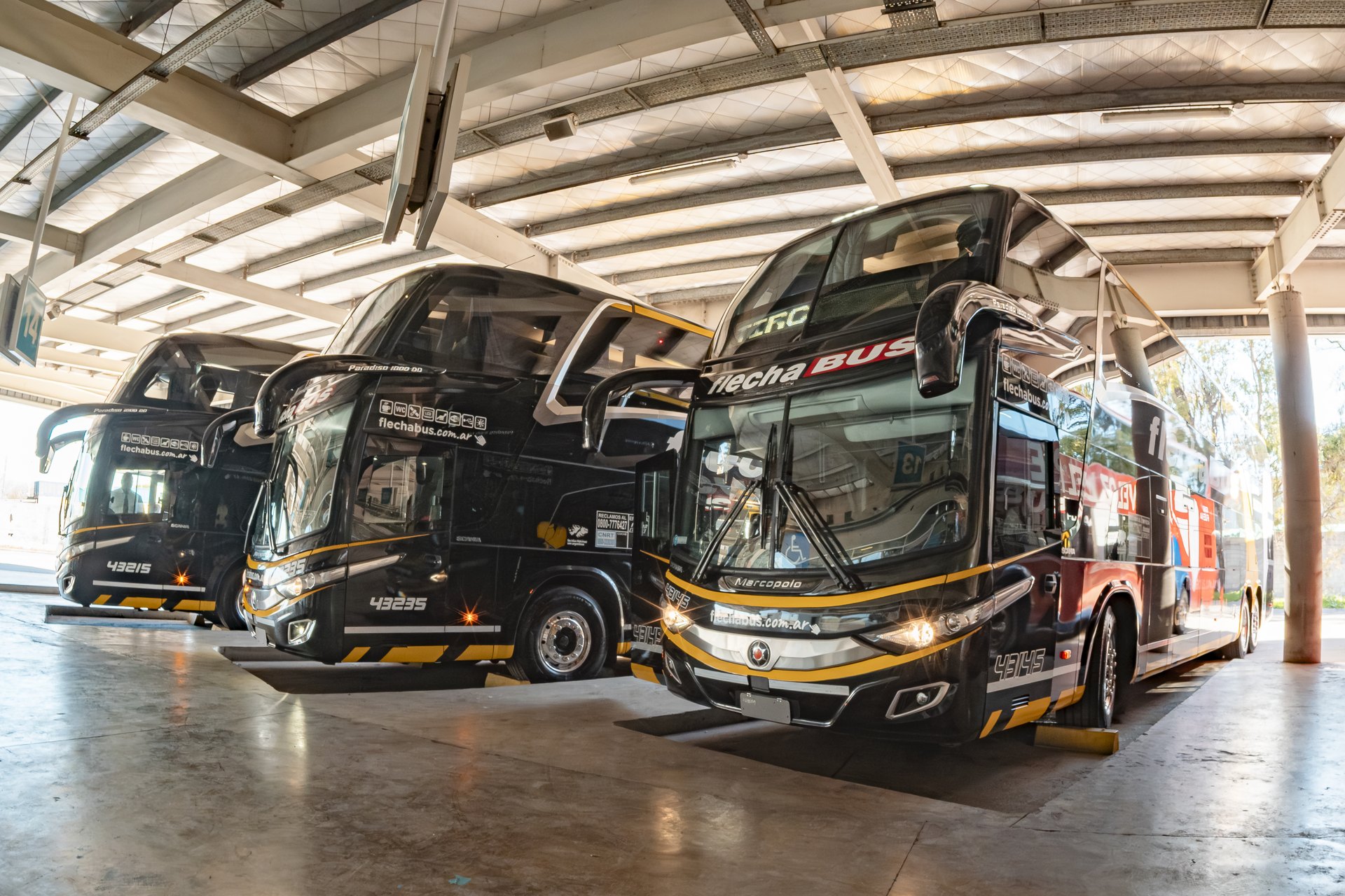 Transporte de Pasajeros y Corporativo